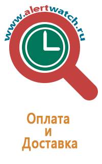 Часы трекер smart baby watch q100